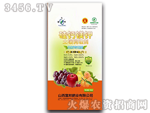 ���䌣���͹��}�V�-������