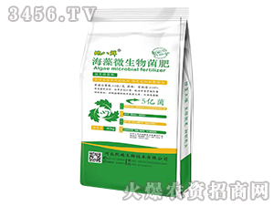 ����΢�������-�ذ��r-��Խ����