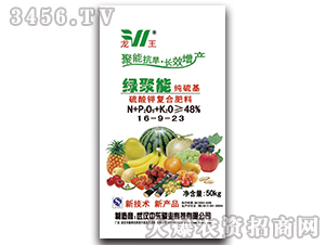 ����⛏�(f��)�Ϸ���16-9-23���������-�G����-����