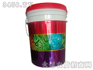 �tͰ-�ŵ����Q