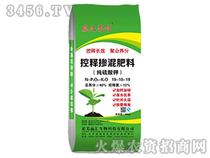 控施摻混肥料19-10-19-嬴匯