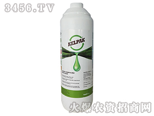 Kelpak-�Ϸ�ԭ�b�M(j��n)�ں�����1L-��(r��n)���r(n��ng)�I(y��)