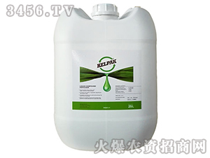 Kelpak-�Ϸ�ԭ�b�M(j��n)�ں�����-��(r��n)���r(n��ng)�I(y��)