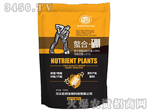 ������-�������