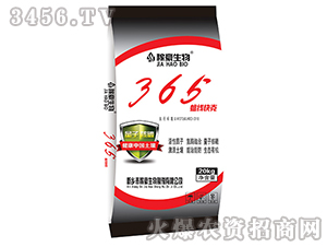 365�������-�ں�����