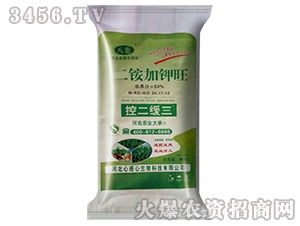 ���@�����-�ض�����24-17-12-���B��