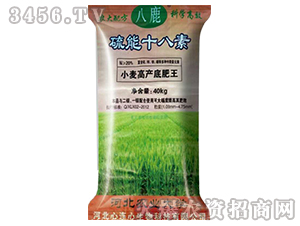 С���߮a�׷���-����ʮ����-���B��