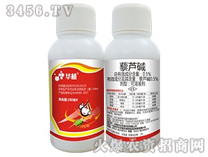 ޼�J�A-��ֲ���A