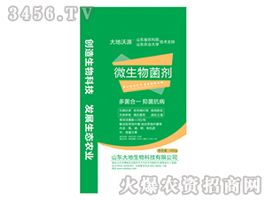 ΢�������-�������