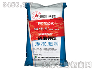 �}�A�،��Ó������-�A�X��-���r(n��ng)����