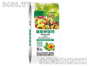 ������V�}-����-���A����