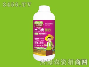 ΢�������-����-ʿ�Ϳ�