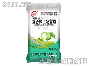 �S����ͺ�΢�������-���S��-�����r(n��ng)�I(y��)