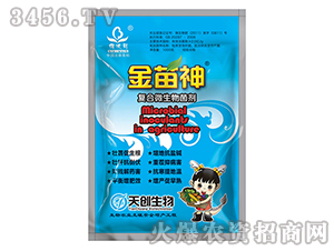 ��(f��)��΢�������-������-�섓(chu��ng)����