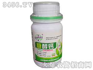 �Ǵ��}-�d�i-�H�i���B(t��i)