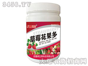 ��ݮ������-�W��ɭ