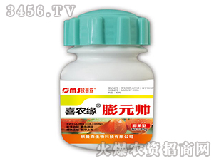 ��Ԫ��-ϲ�r��-�W��ɭ