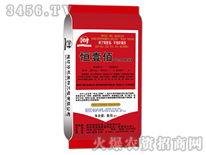 ���ӹ�����-��Ҽ��-����