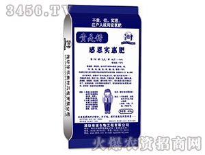 �ж����ݷ�-�F���e-����