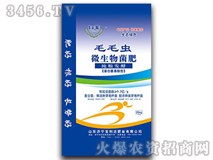 ëë�x΢�������-��ë-�����_(d��)