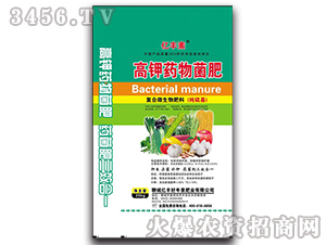 ���ˎ�����-�|�S