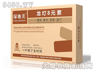 ����8Ԫ�أ����b��-�G����-��������