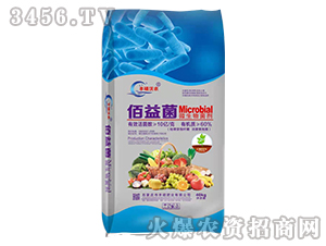 �����΢�������-�S�T�ʘI(y��)