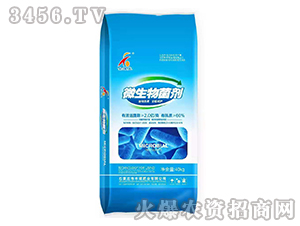 ΢�������-�S�T�ʘI(y��)