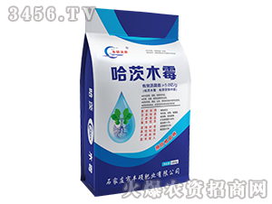 ����ľù-�S�T�ʘI(y��)