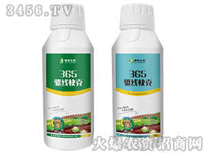 365�(q��)�����-�ں�����