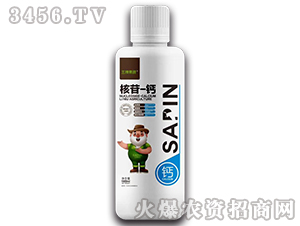 ����-�}-��ţ���B(t��i)