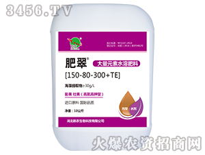 ����Ԫ��ˮ�ܷ�150-80-300+TE-�ʴ�-���r(n��ng)����
