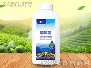 ���徫-�κ�����