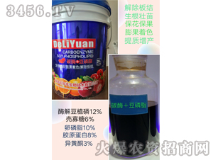 ̼ø����֬-�d�i