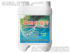 ̼ø���徫-�Z����-�����S