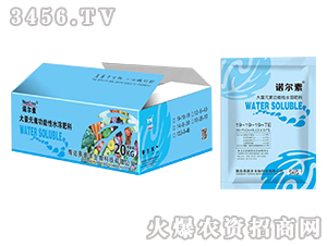 ����Ԫ�ع�����ˮ�ܷ�19-19-19+TE-�Z����-�����S