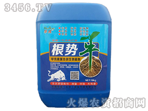 �ך��؏ͺ�΢�������-����ţ-�����A��