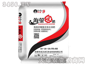 ����ů��18-18-18+TE+HZ-�����A��