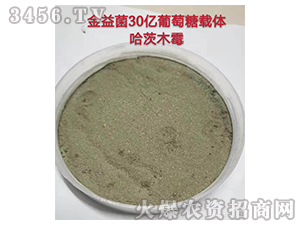 ����ľù��-�����-��ɽ΢����