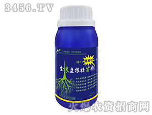 �����P�����焩-׿�R��-׿���r(n��ng)�I(y��)