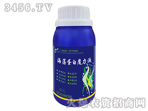 ���嵰��ħ��Һ-׿�R��-׿���r(n��ng)�I(y��)