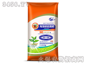 ����̼�ܾ���-���w�������-����