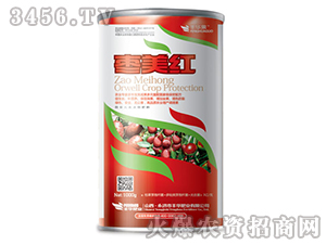 棗美紅（1000g）-豐華肥業(yè)