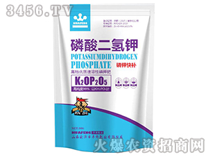 ��������-�S�A�ʘI(y��)