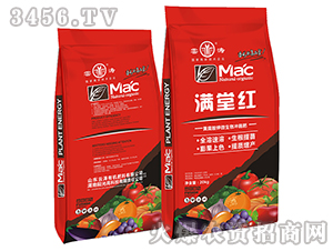 �S����⛛_ʩ��-�M�üt-�Ɲ�