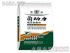 ΢�������-������-�Ɲ�