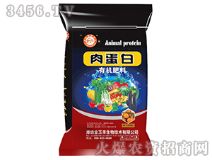 �⵰���ЙC(j��)��-�Ɲ�