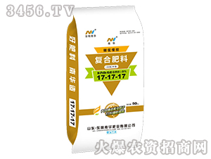 ̼�پ��؏ͺϷ���17-17-17-�|�����A