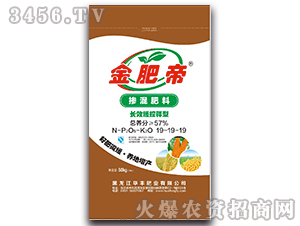 57%長(zhǎng)效緩控釋摻混肥料19-19-19-金肥帝-華豐