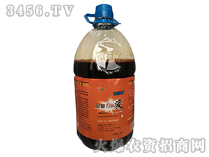 ȫ���ЙC̼-������-�W�¸�